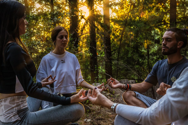 Introducing The Euphoria Retreat Wellbeing Festival 2025