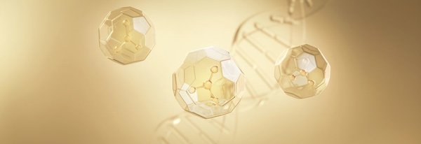 What Are Sirtuins And How Do They Influence The Way We Age?