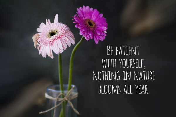 30 Daily Affirmations To Improve Your Mindset