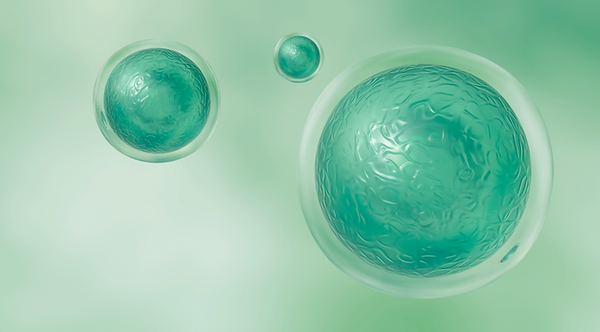 The Power Of Antioxidants